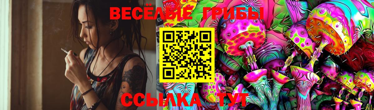 Галлюциногенные грибы ЛСД Зерноград